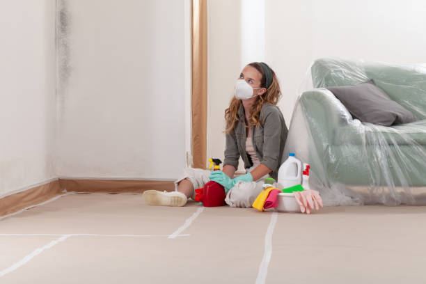 Reliable Mold Cleanup contractor in Leland, MI by Cheap Mold Removal